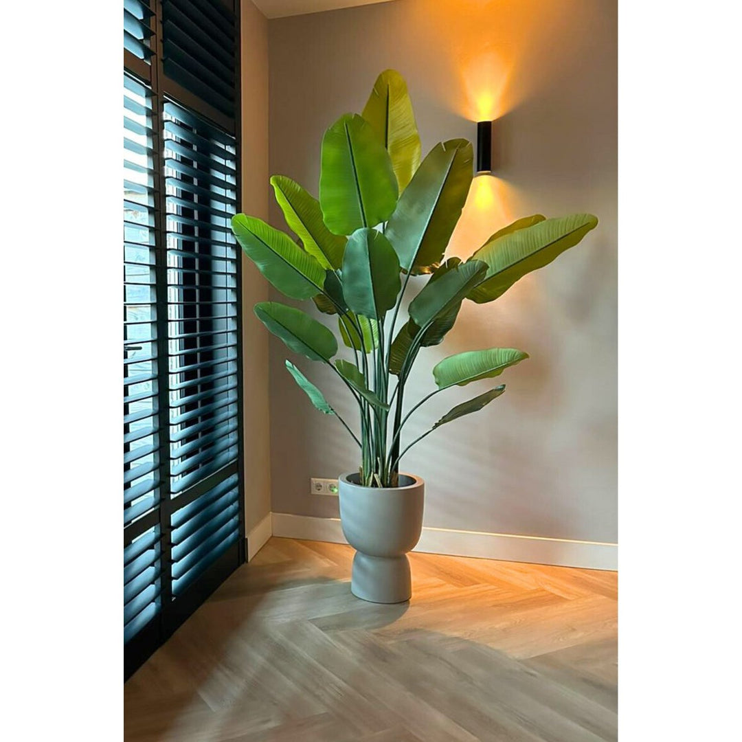 Strelitzia Kunstplant 180 cm