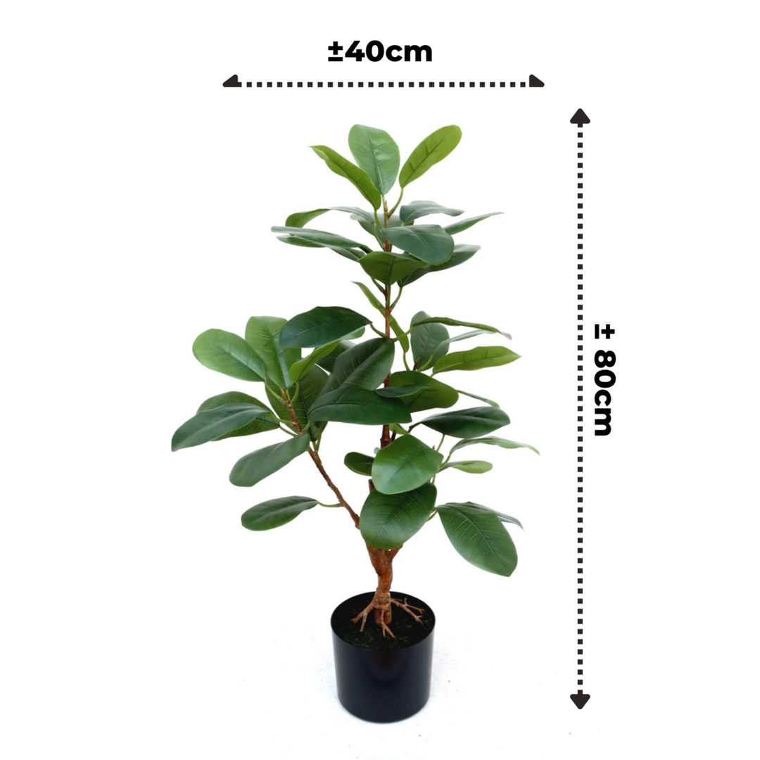 Ficus Kunstplant 80 cm