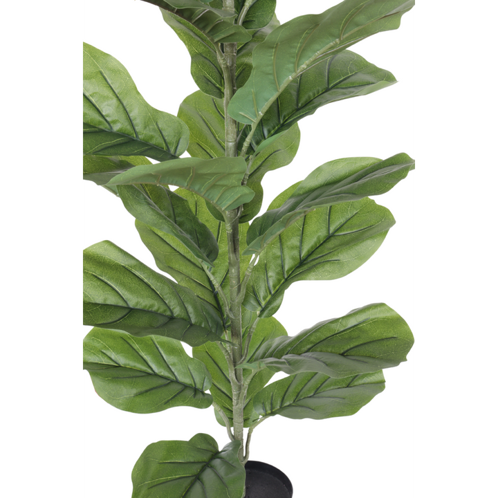 Ficus Kunstplant 100 cm