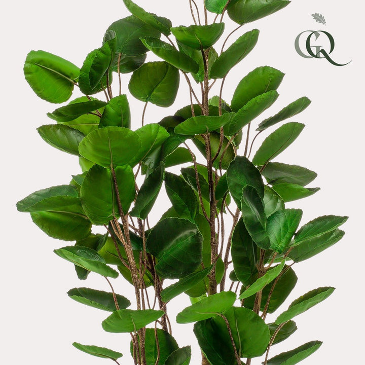 Kunstplant Polyscias Aralia 105 cm