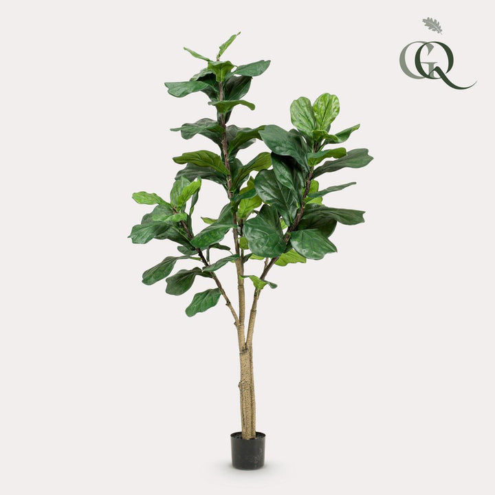 Kunstplant Ficus Lyrata Tabaksplant