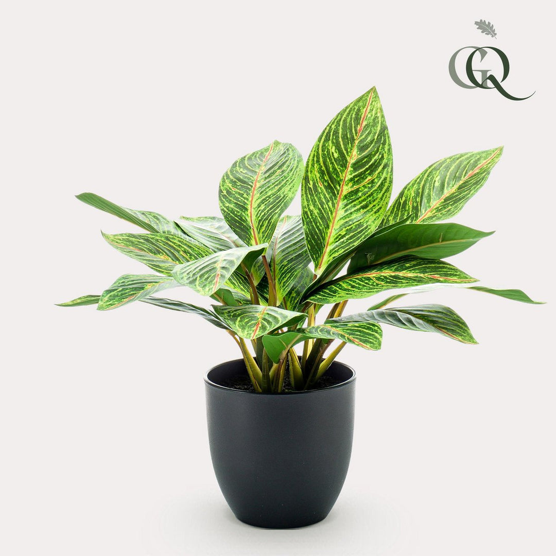 Kunstplant Croton Codiaeum 38 cm