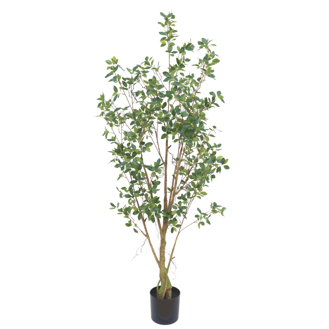 Ficus Kunstplant 180 cm