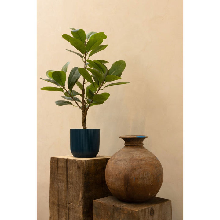 Ficus Kunstplant 80 cm