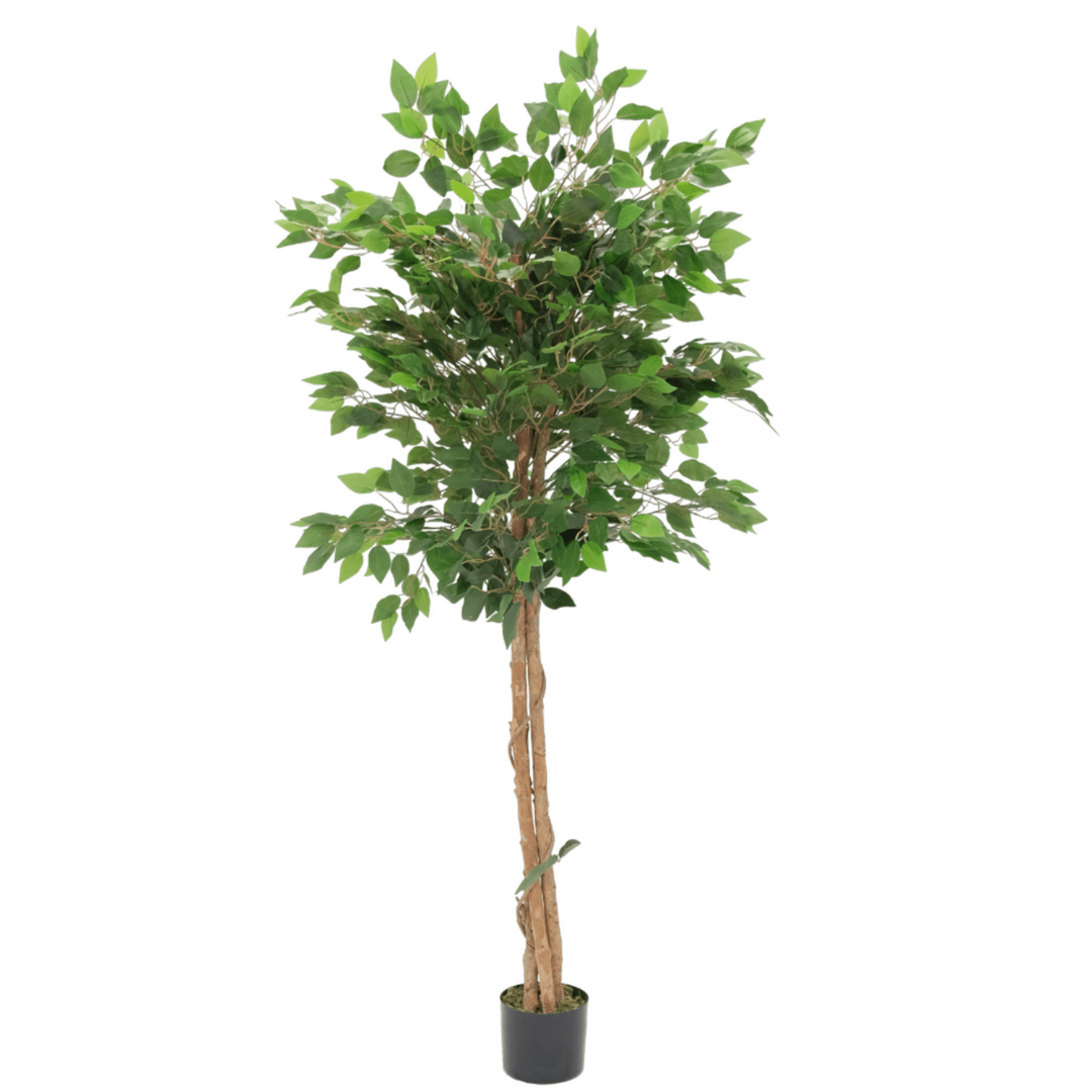 Artificial Ficus 150 cm