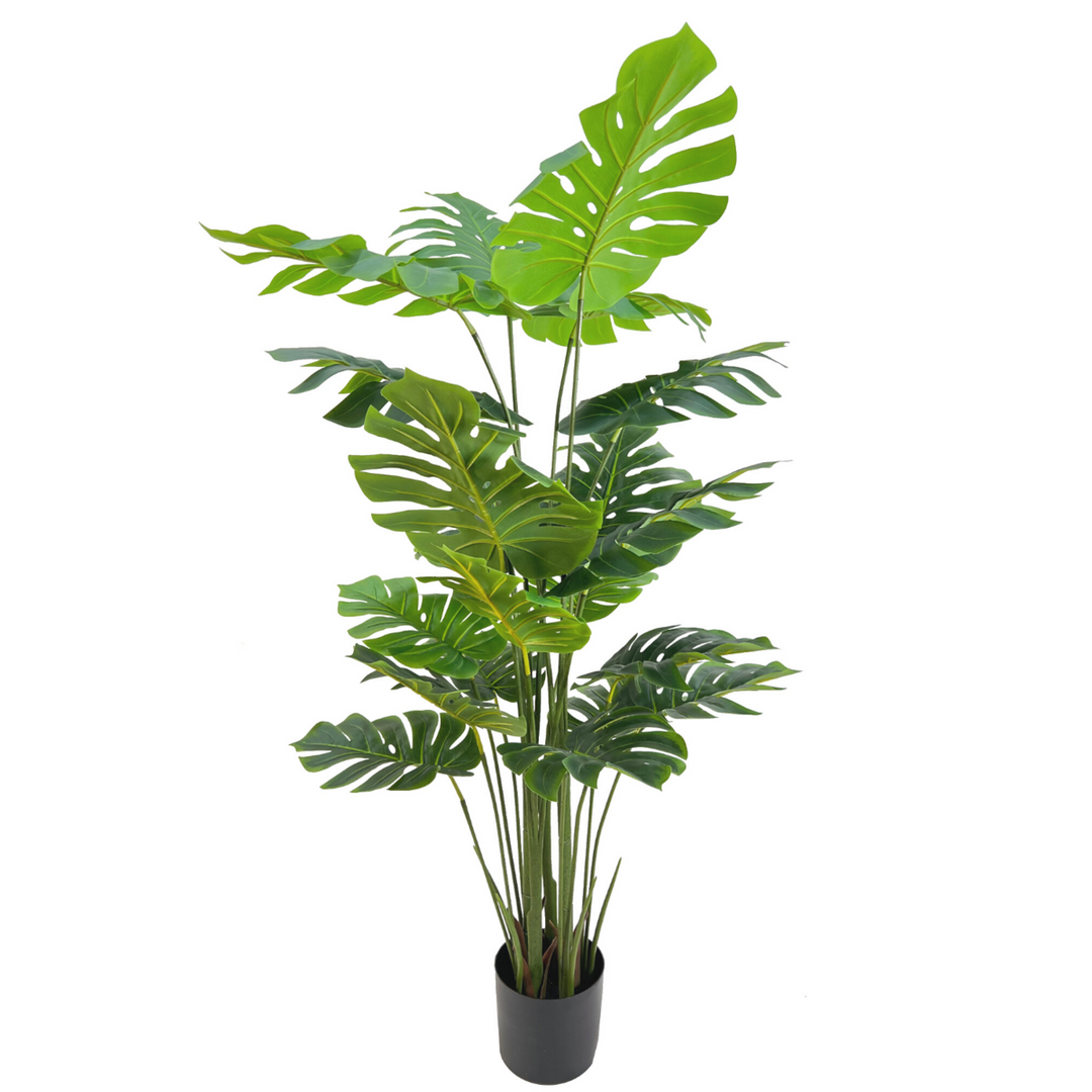 Monstera Madness - Kunstplantenpakket