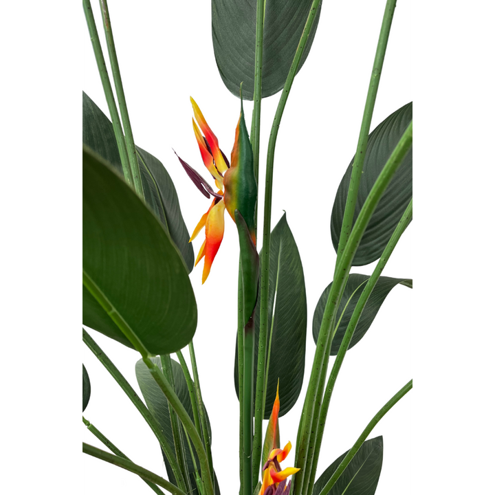 Strelitzia Kunstplant Met Bloem 180 cm