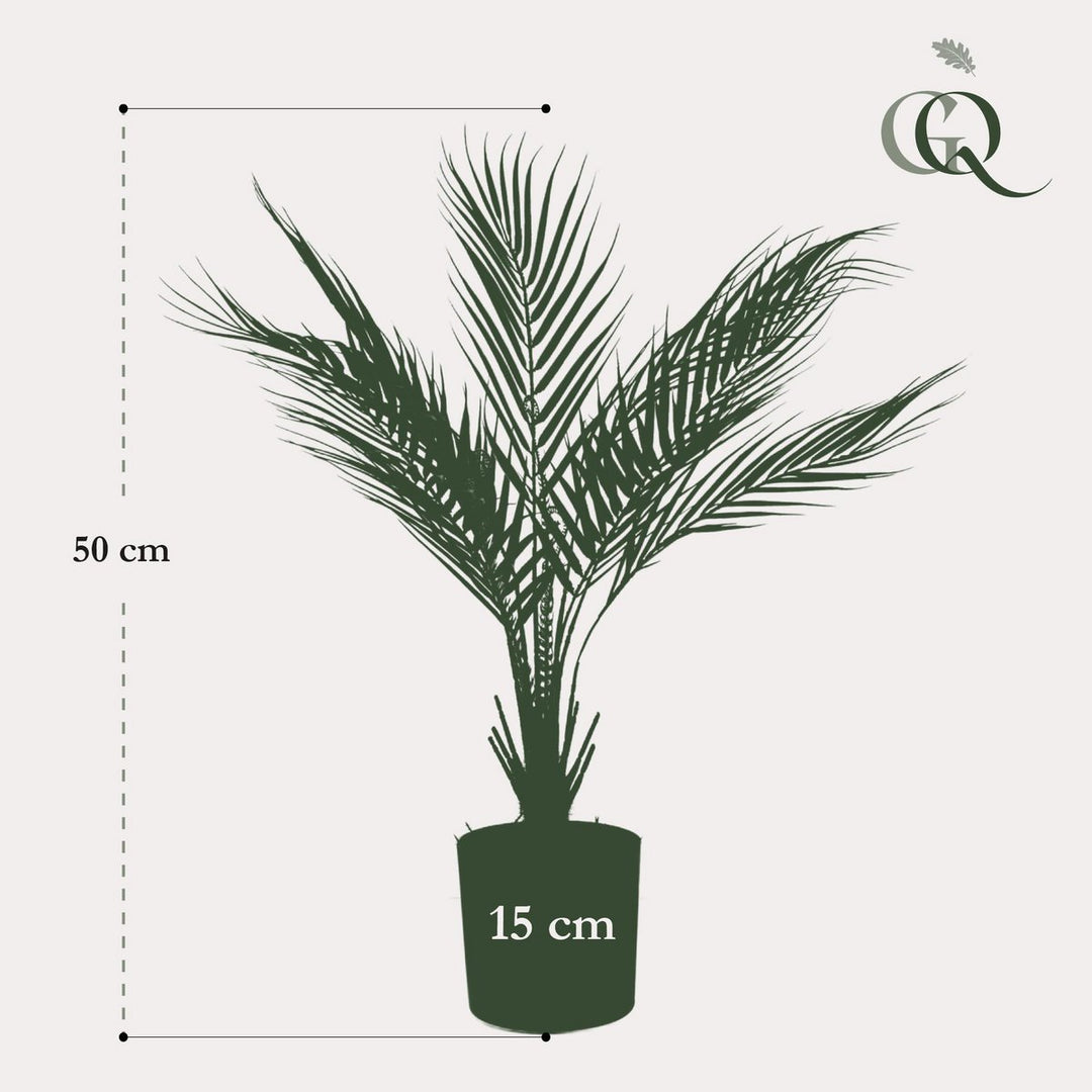 Kunstplant Bergpalm - 50 cm