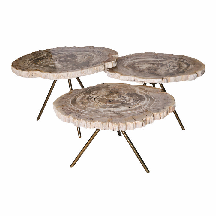 PTMD Coffee Table Set New Khine Cream Petrified Wood