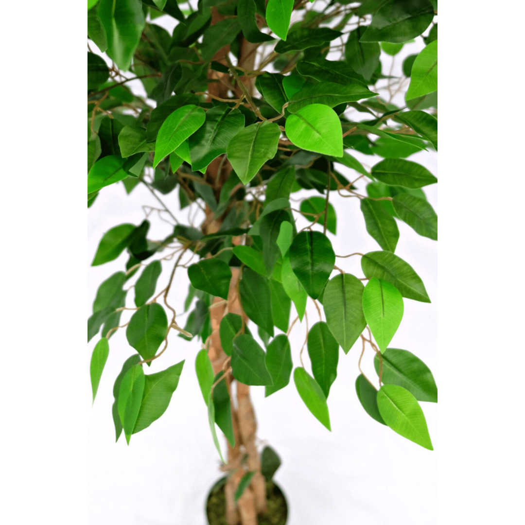 Artificial Ficus 150 cm