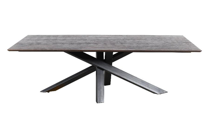 PTMD Eettafel Alore Bruin Mangohout 200 cm