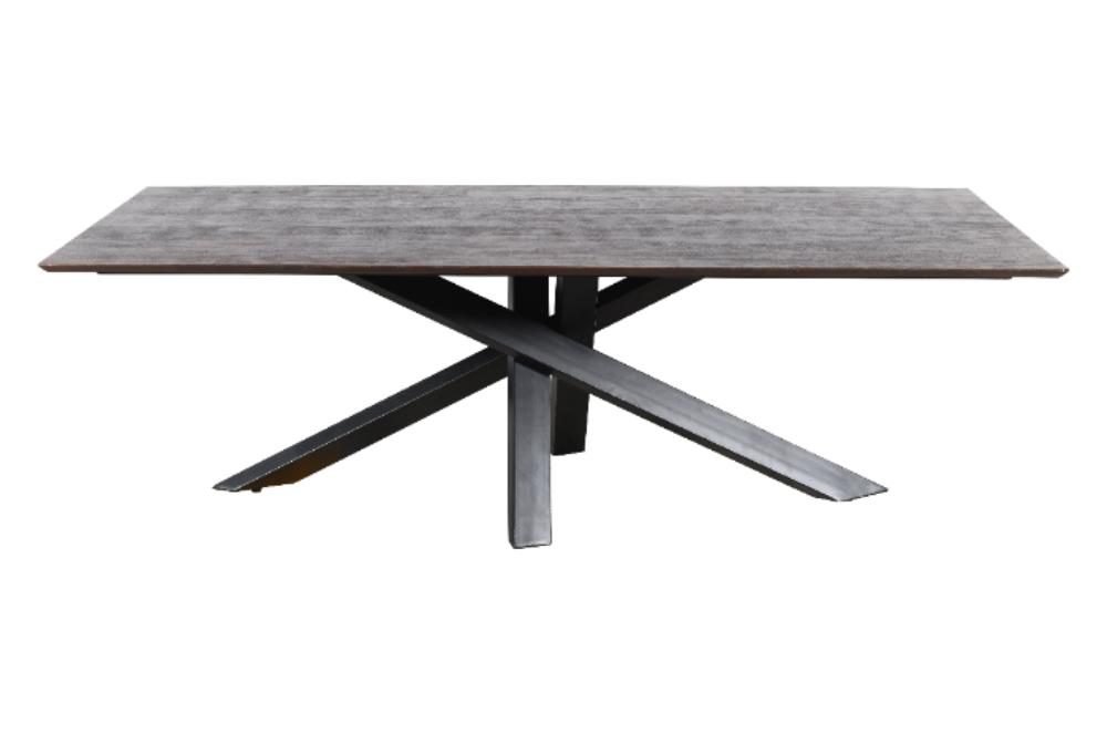 PTMD Eettafel Alore Bruin Mangohout 240 cm