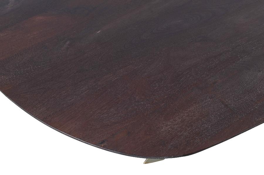 PTMD Eettafel Alore Bruin Goud Mangohout 240 cm