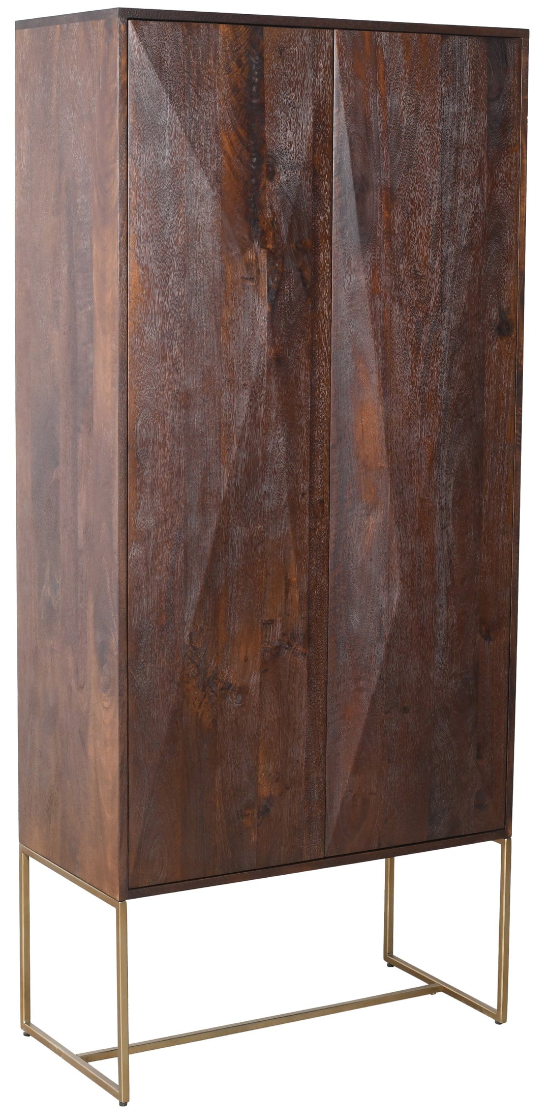 PTMD Onyx Cabinet Mango Wood Brown 2 Doors