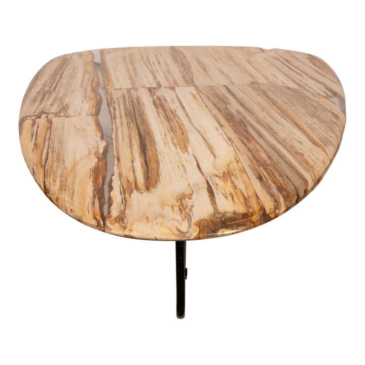 PTMD Couchtisch Deeba 130 Versteinertes Holz