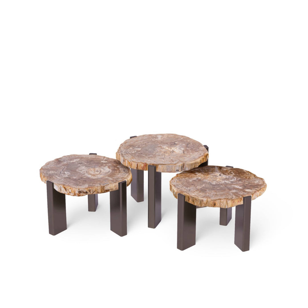 PTMD Coffee Tables Rudi Petrified Wood Nickel SV3