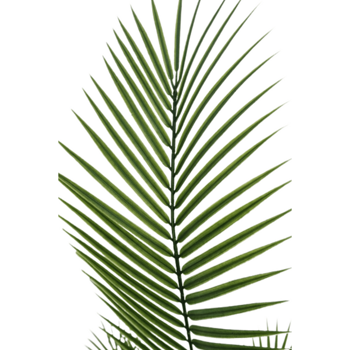 Künstliche Palme 180 cm