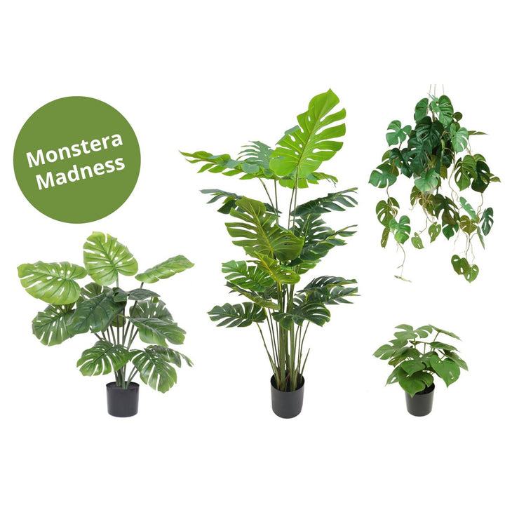 Monstera Madness - Kunstplantenpakket