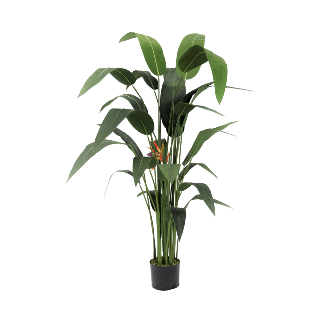 Strelitzia Artificial Plant With Flower 160 cm