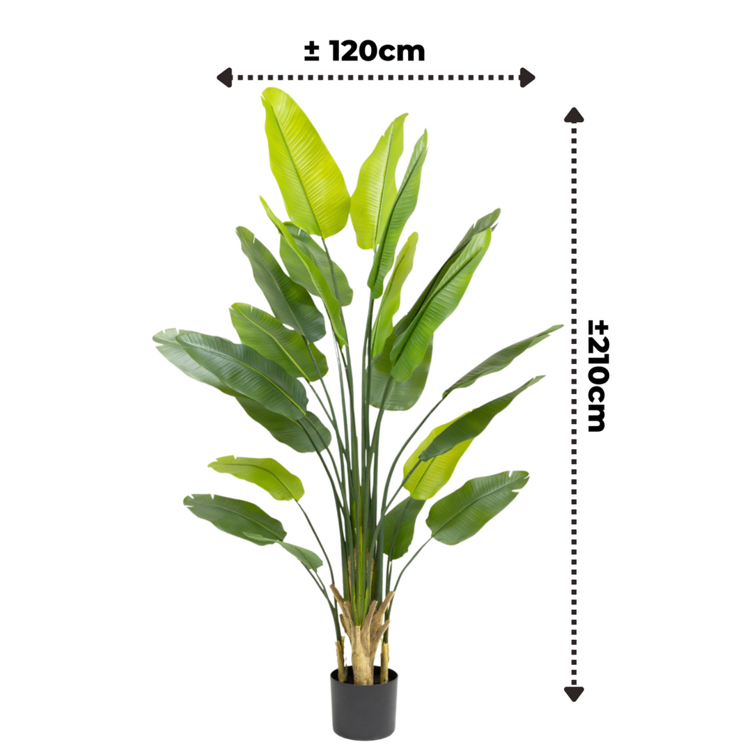 Künstliche Strelitzia-Pflanze 210 cm