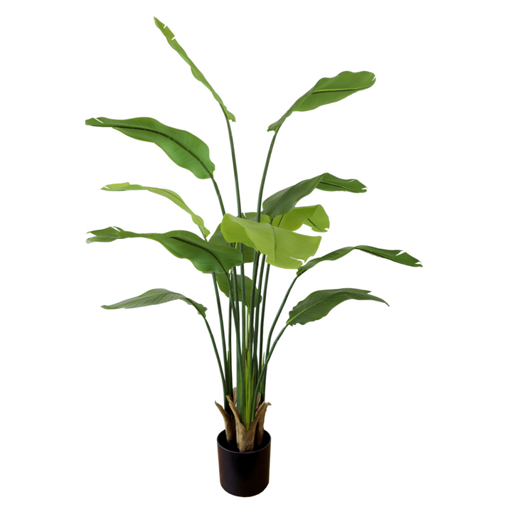 Strelitzia Kunstplant 160 cm