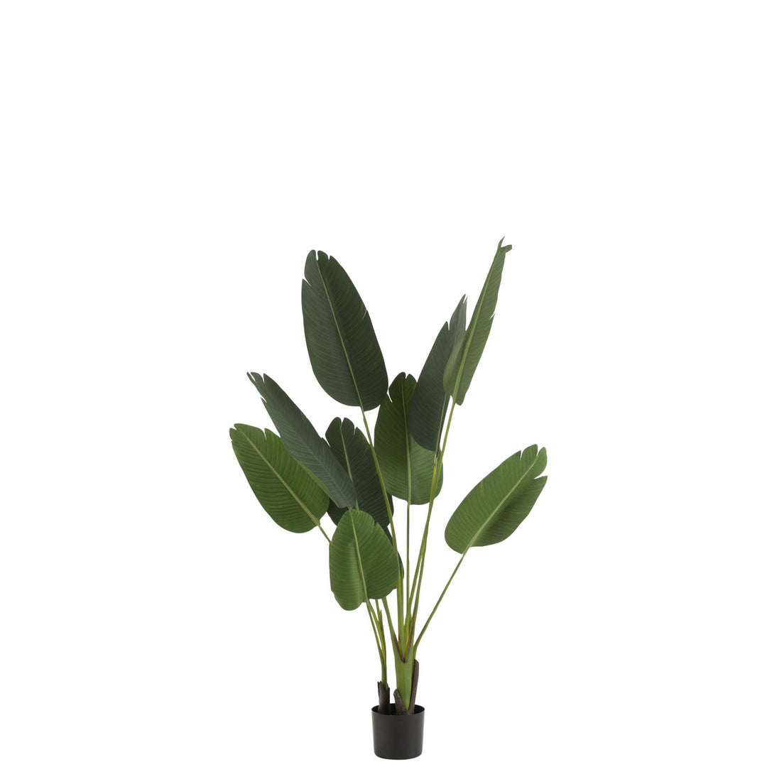 J-Line Strelitzia Kunstplant Groen Small