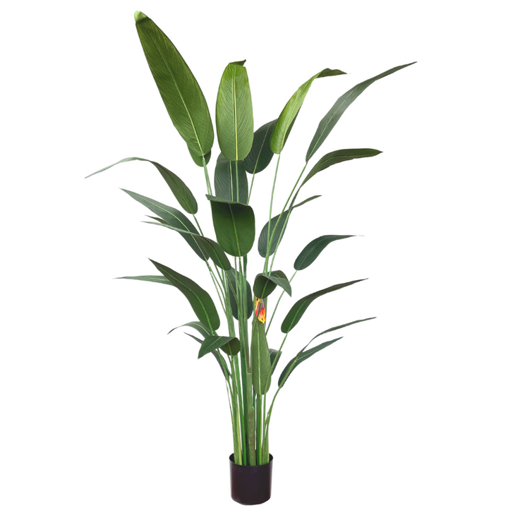 Strelitzia Kunstplant Met Bloem 180 cm