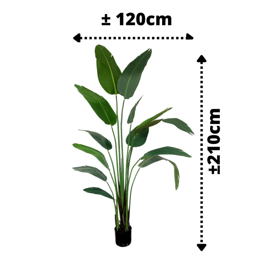 Strelitzia Kunstplant 210 cm