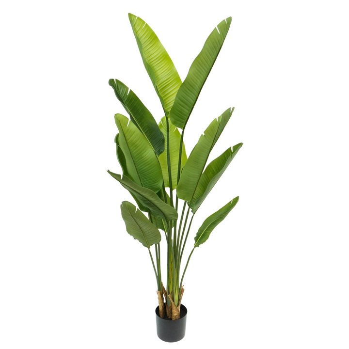 Strelitzia Kunstplant 160 cm