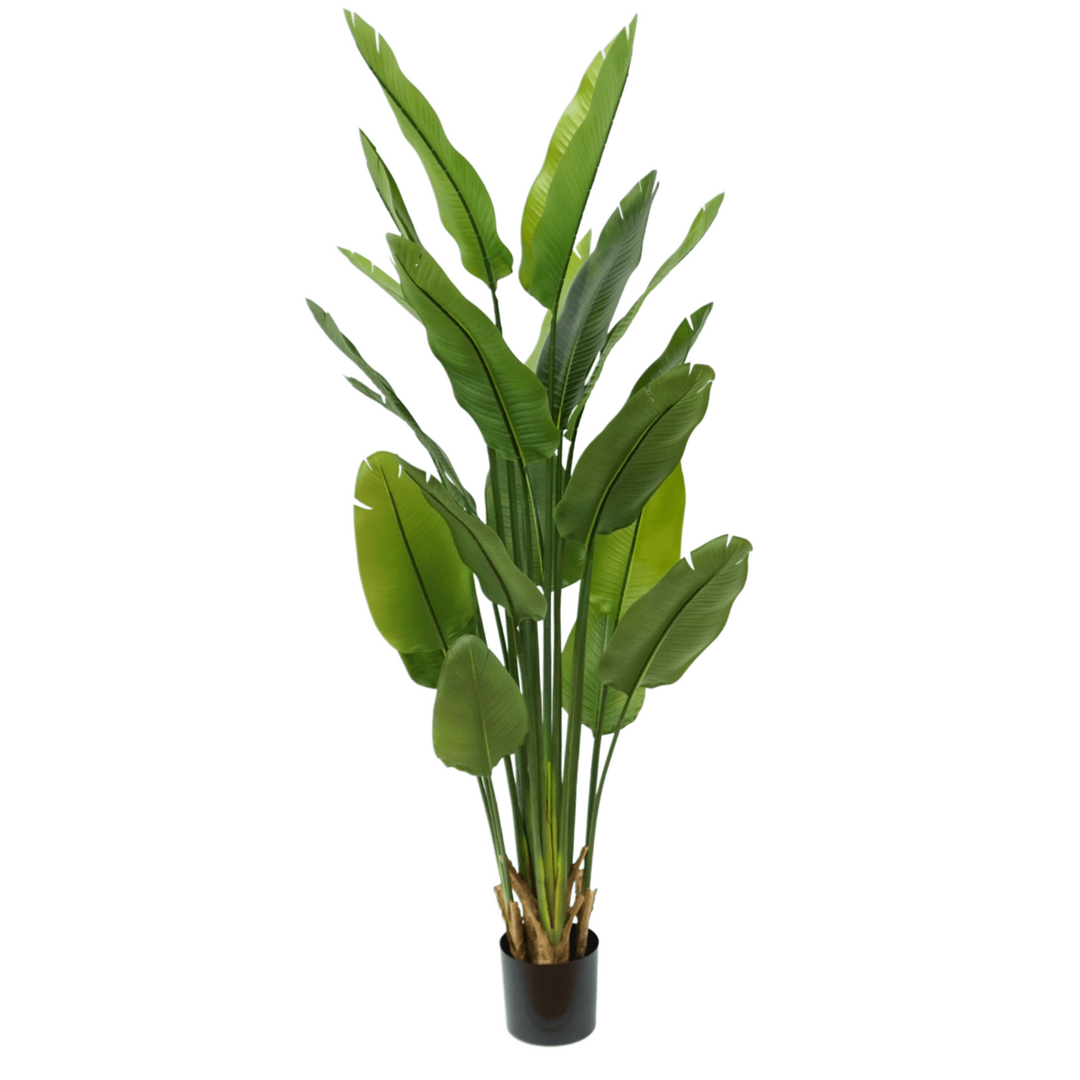 Strelitzia Kunstplant 180 cm