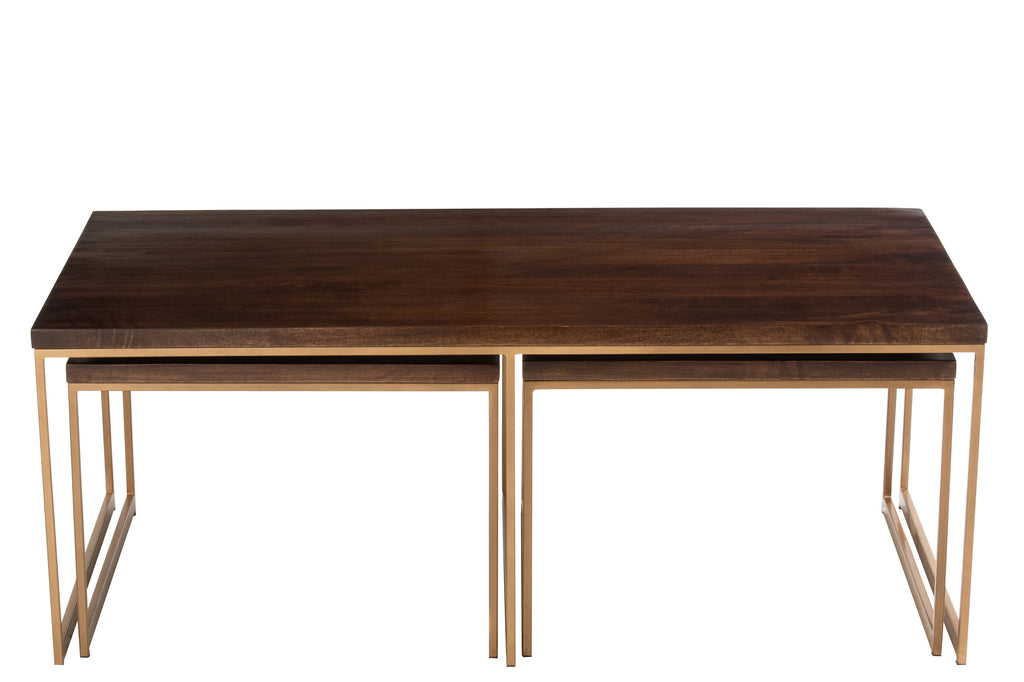 J-Line Couchtisch Rafi 3-teilig Mangoholz Gold Dunkelbraun