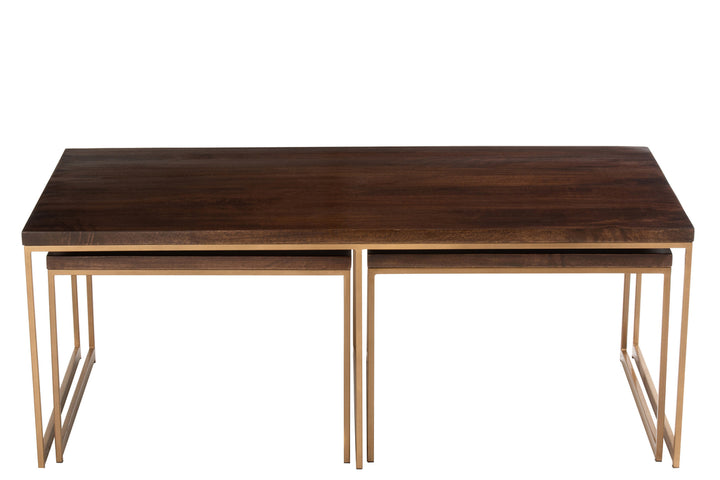 J-Line Couchtisch Rafi 3-teilig Mangoholz Gold Dunkelbraun