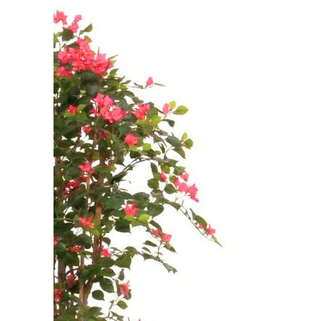 Bougainvillea Kunstpflanze 180 cm