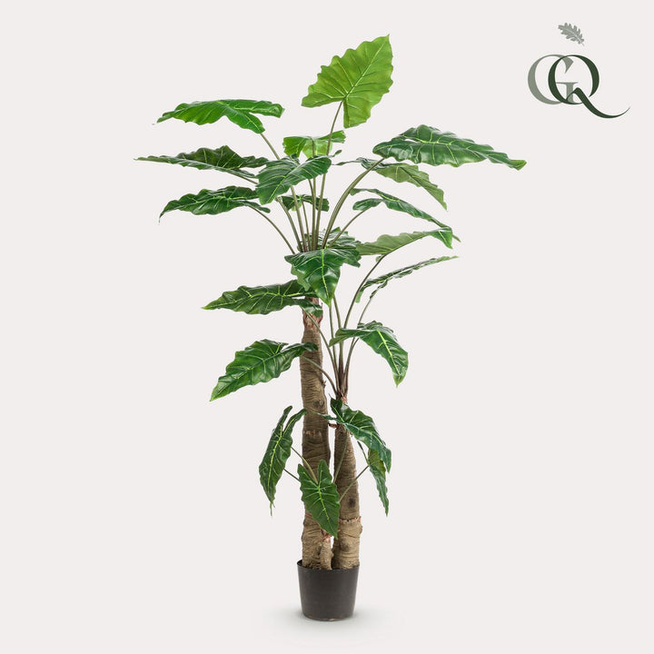 Kunstplant Olifantsoor - 180 cm