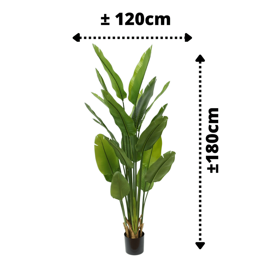 Strelitzia Kunstplant 180 cm