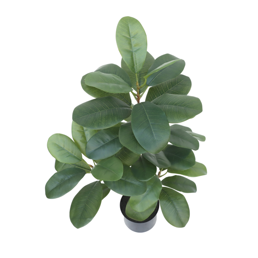 Ficus Kunstplant 80 cm