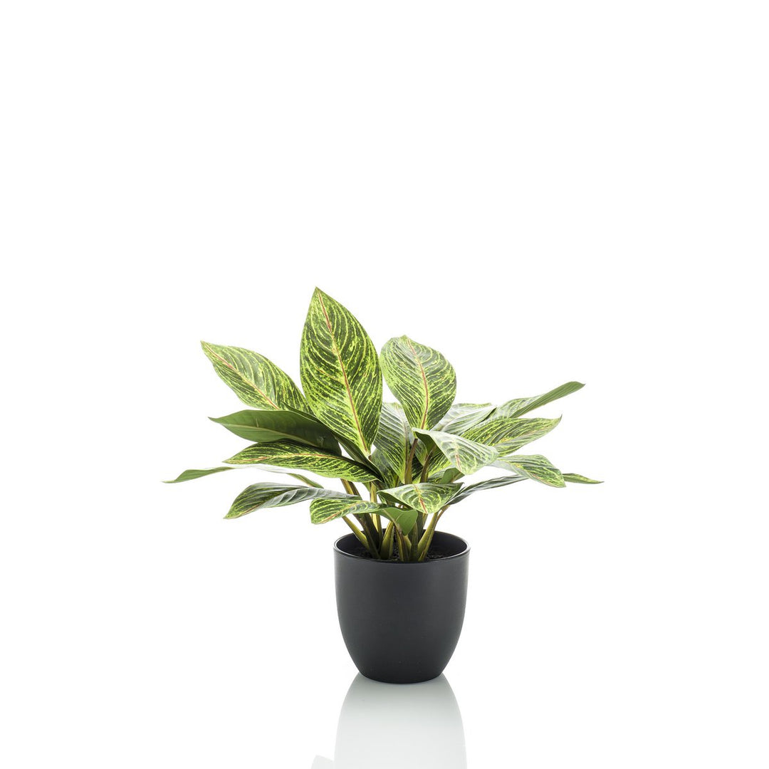 Kunstplant Croton Codiaeum 38 cm