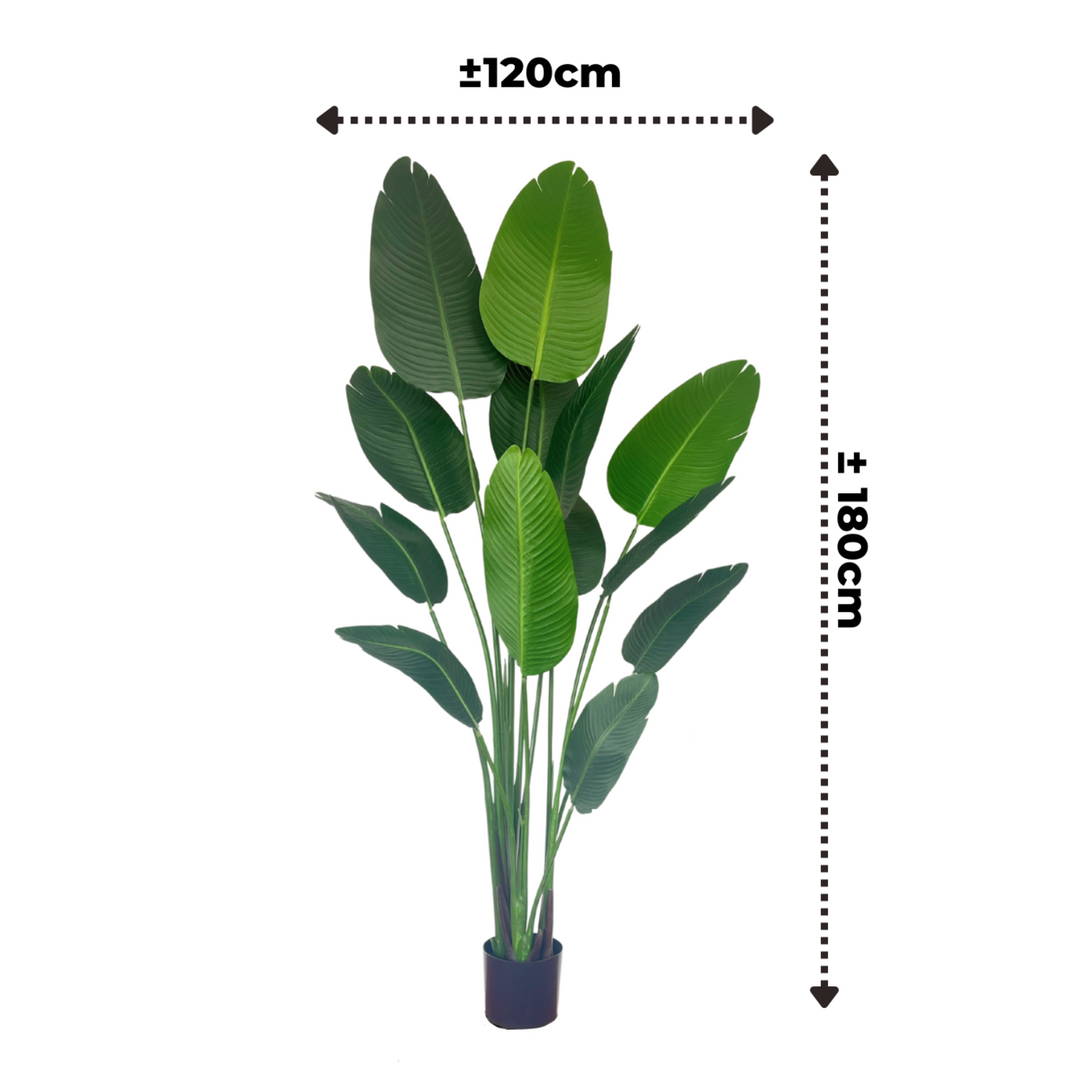 Strelitzia Kunstplant 180 cm