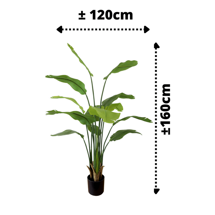 Strelitzia Kunstplant 160 cm