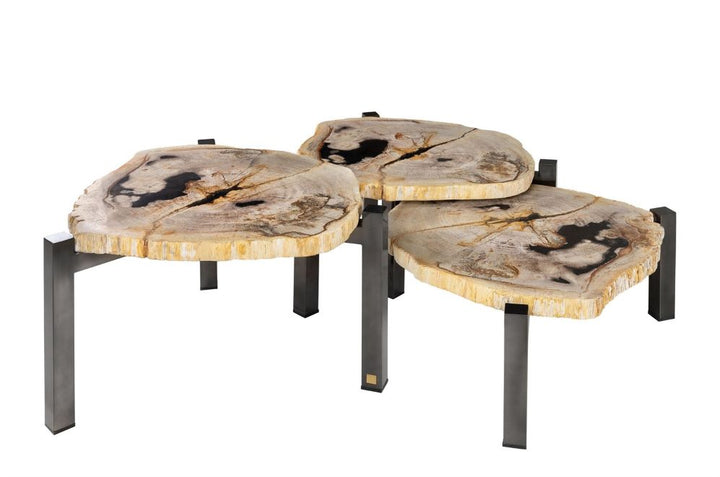 Salontafel Set van 3 Petrified Wood