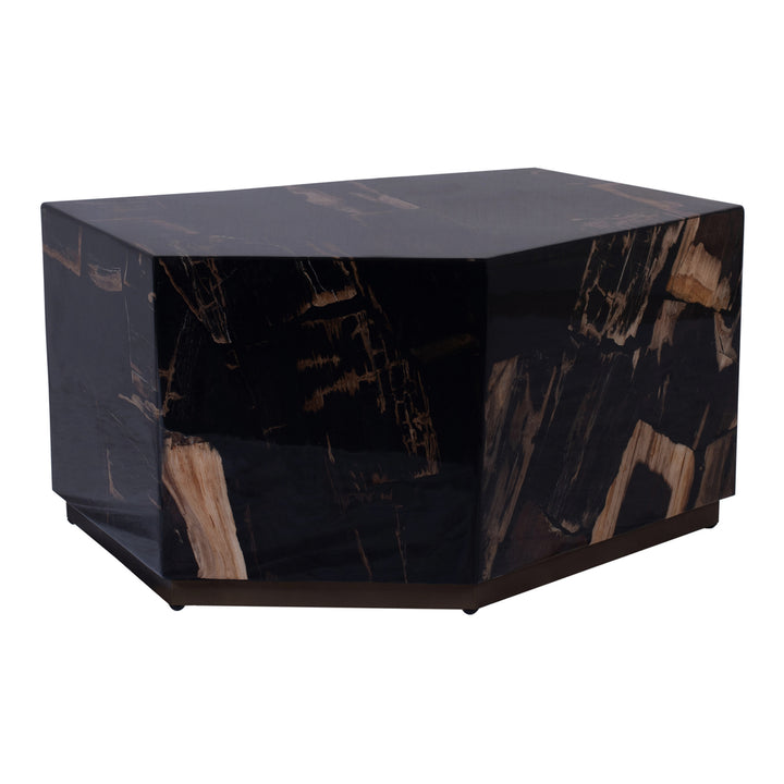 PTMD Coffee Table Rayn Petrified Wood Black M