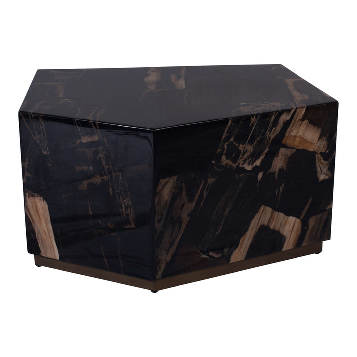 PTMD Coffee Table Rayn Petrified Wood Black M