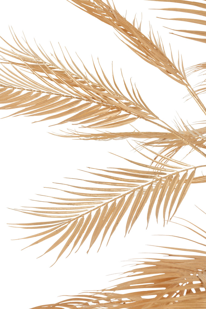 J-Line Art Tree Palm Leaves 3 Trunks Gold Large