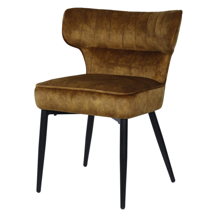 PTMD Dining Chair Zinno Brown