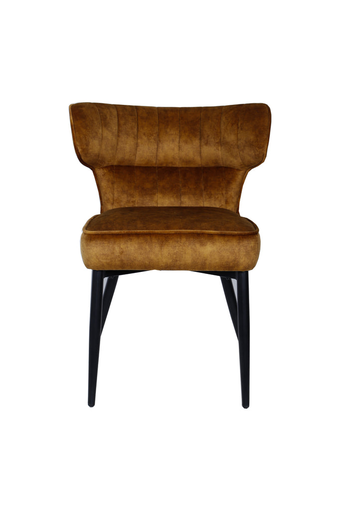 PTMD Dining Chair Zinno Brown