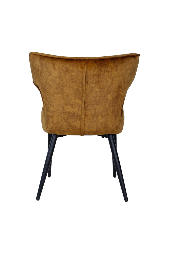 PTMD Dining Chair Zinno Brown